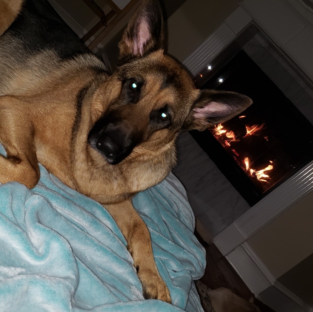 Meet your Posher, Colston